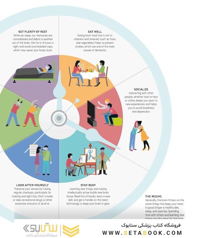 The Brain Fitness Book: Activities and puzzles to keep your mind active and healthy