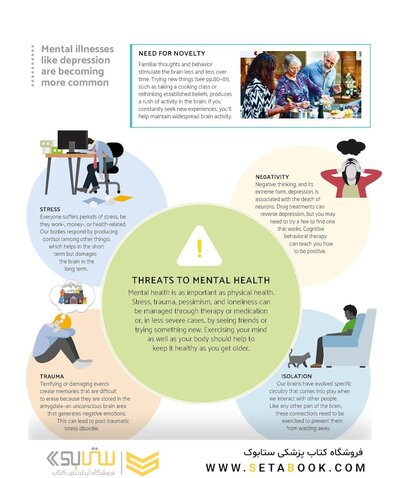 The Brain Fitness Book: Activities and puzzles to keep your mind active and healthy