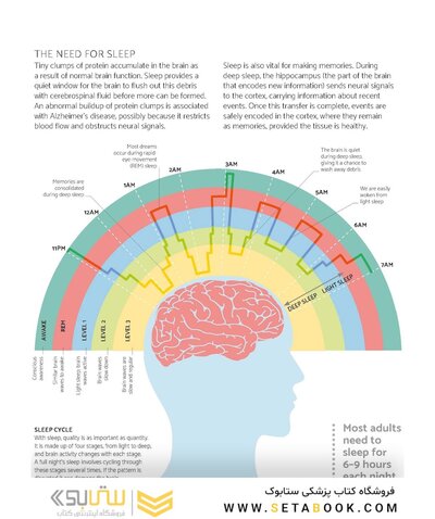 The Brain Fitness Book: Activities and puzzles to keep your mind active and healthy