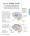 The Brain Fitness Book: Activities and puzzles to keep your mind active and healthy