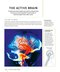 The Brain Fitness Book: Activities and puzzles to keep your mind active and healthy