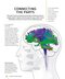 The Brain Fitness Book: Activities and puzzles to keep your mind active and healthy