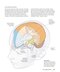 The Brain Fitness Book: Activities and puzzles to keep your mind active and healthy