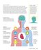 The Brain Fitness Book: Activities and puzzles to keep your mind active and healthy