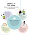 The Brain Fitness Book: Activities and puzzles to keep your mind active and healthy