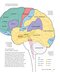 The Brain Fitness Book: Activities and puzzles to keep your mind active and healthy