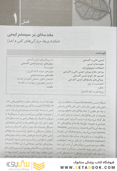 ایمونولوژی پایه ابوالعباس 2024
