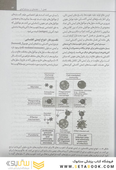 ایمونولوژی پایه ابوالعباس 2024