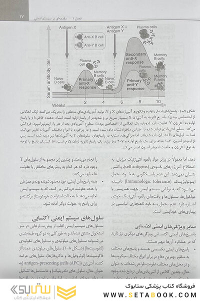 ایمونولوژی پایه ابوالعباس 2024