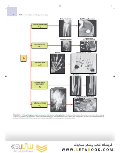 Orthopaedic Imaging: A Practical Approach (Orthopedic Imaging a Practical Approach) Seventh Edition