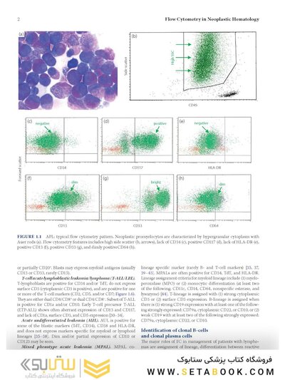 Flow Cytometry in Neoplastic Hematology: Morphologic-Immunophenotypic-Genetic Correlation 4th Edition