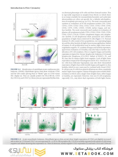 Flow Cytometry in Neoplastic Hematology: Morphologic-Immunophenotypic-Genetic Correlation 4th Edition