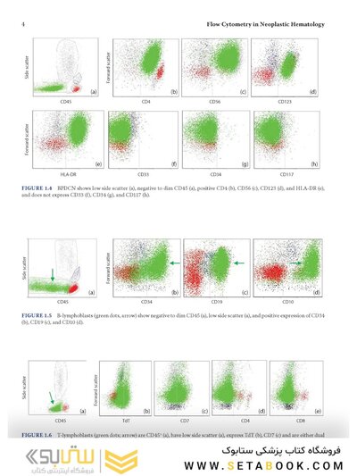 Flow Cytometry in Neoplastic Hematology: Morphologic-Immunophenotypic-Genetic Correlation 4th Edition
