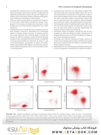 Flow Cytometry in Neoplastic Hematology: Morphologic-Immunophenotypic-Genetic Correlation 4th Edition