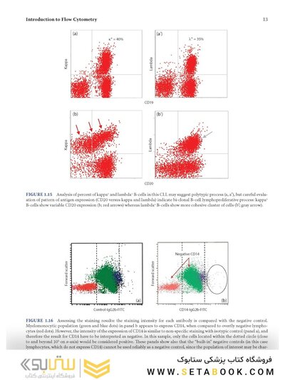 Flow Cytometry in Neoplastic Hematology: Morphologic-Immunophenotypic-Genetic Correlation 4th Edition