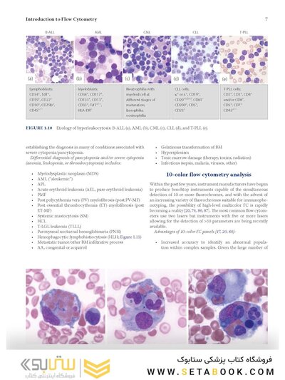Flow Cytometry in Neoplastic Hematology: Morphologic-Immunophenotypic-Genetic Correlation 4th Edition