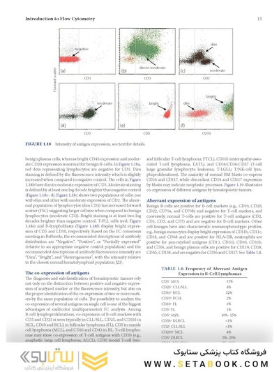 Flow Cytometry in Neoplastic Hematology: Morphologic-Immunophenotypic-Genetic Correlation 4th Edition