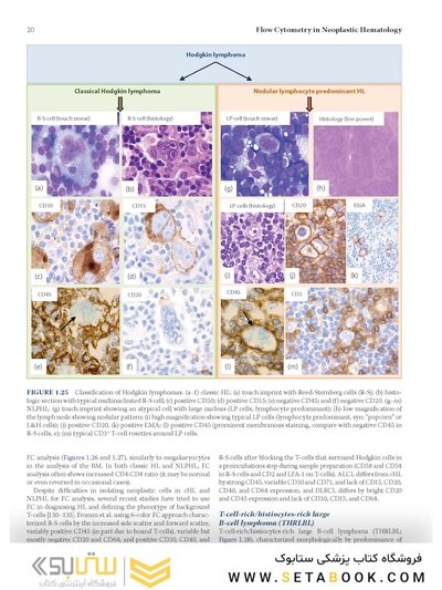 Flow Cytometry in Neoplastic Hematology: Morphologic-Immunophenotypic-Genetic Correlation 4th Edition