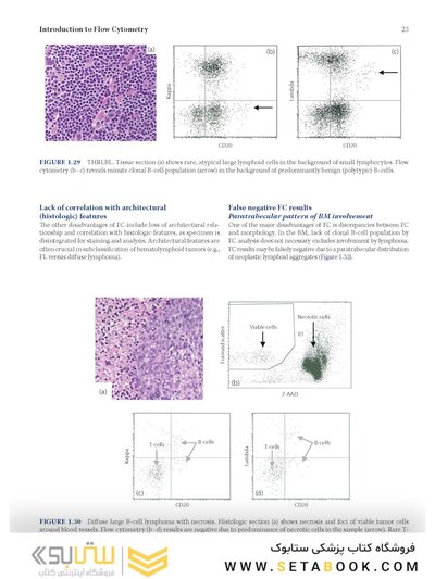 Flow Cytometry in Neoplastic Hematology: Morphologic-Immunophenotypic-Genetic Correlation 4th Edition