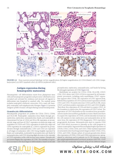 Flow Cytometry in Neoplastic Hematology: Morphologic-Immunophenotypic-Genetic Correlation 4th Edition