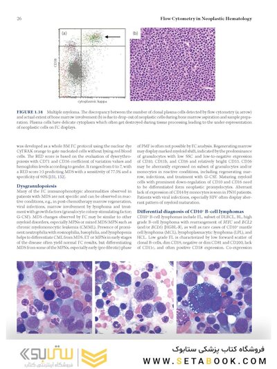Flow Cytometry in Neoplastic Hematology: Morphologic-Immunophenotypic-Genetic Correlation 4th Edition