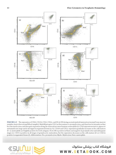 Flow Cytometry in Neoplastic Hematology: Morphologic-Immunophenotypic-Genetic Correlation 4th Edition