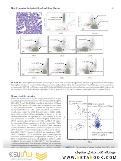 Flow Cytometry in Neoplastic Hematology: Morphologic-Immunophenotypic-Genetic Correlation 4th Edition