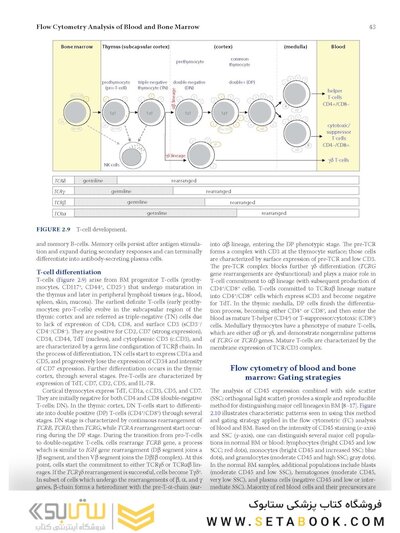 Flow Cytometry in Neoplastic Hematology: Morphologic-Immunophenotypic-Genetic Correlation 4th Edition