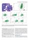 Flow Cytometry in Neoplastic Hematology: Morphologic-Immunophenotypic-Genetic Correlation 4th Edition