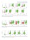 Flow Cytometry in Neoplastic Hematology: Morphologic-Immunophenotypic-Genetic Correlation 4th Edition