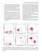 Flow Cytometry in Neoplastic Hematology: Morphologic-Immunophenotypic-Genetic Correlation 4th Edition