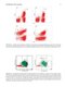 Flow Cytometry in Neoplastic Hematology: Morphologic-Immunophenotypic-Genetic Correlation 4th Edition