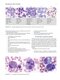 Flow Cytometry in Neoplastic Hematology: Morphologic-Immunophenotypic-Genetic Correlation 4th Edition