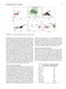 Flow Cytometry in Neoplastic Hematology: Morphologic-Immunophenotypic-Genetic Correlation 4th Edition
