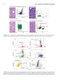 Flow Cytometry in Neoplastic Hematology: Morphologic-Immunophenotypic-Genetic Correlation 4th Edition