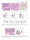 Flow Cytometry in Neoplastic Hematology: Morphologic-Immunophenotypic-Genetic Correlation 4th Edition