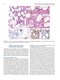Flow Cytometry in Neoplastic Hematology: Morphologic-Immunophenotypic-Genetic Correlation 4th Edition