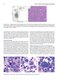 Flow Cytometry in Neoplastic Hematology: Morphologic-Immunophenotypic-Genetic Correlation 4th Edition