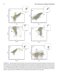Flow Cytometry in Neoplastic Hematology: Morphologic-Immunophenotypic-Genetic Correlation 4th Edition
