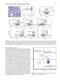Flow Cytometry in Neoplastic Hematology: Morphologic-Immunophenotypic-Genetic Correlation 4th Edition