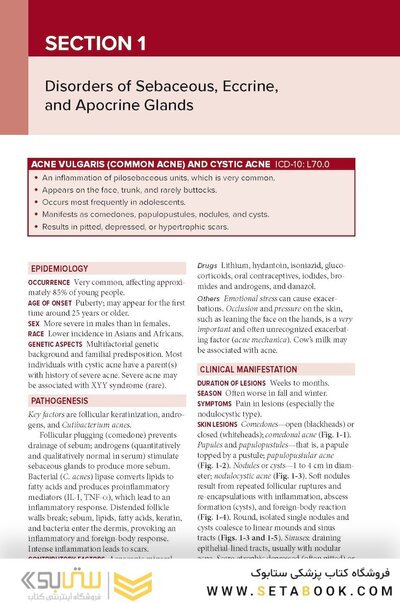 Fitzpatrick's Color Atlas and Synopsis of Clinical Dermatology, Ninth Edition 2024