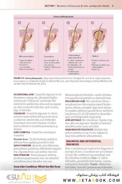 Fitzpatrick's Color Atlas and Synopsis of Clinical Dermatology, Ninth Edition 2024
