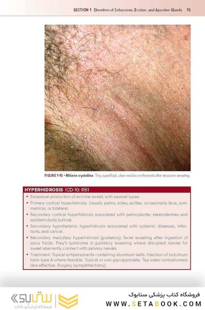 Fitzpatrick's Color Atlas and Synopsis of Clinical Dermatology, Ninth Edition 2024
