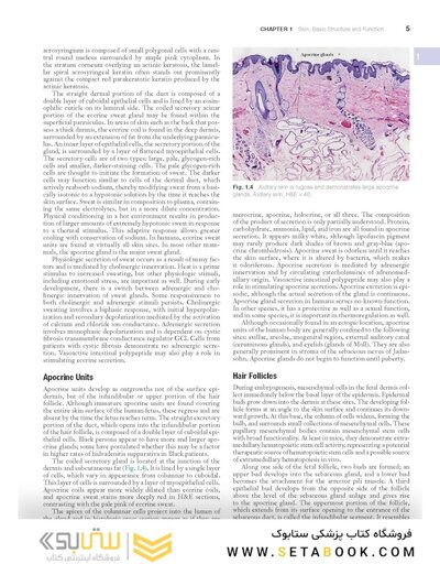 Andrews' Diseases of the Skin: Clinical Dermatology, 14th Edition
