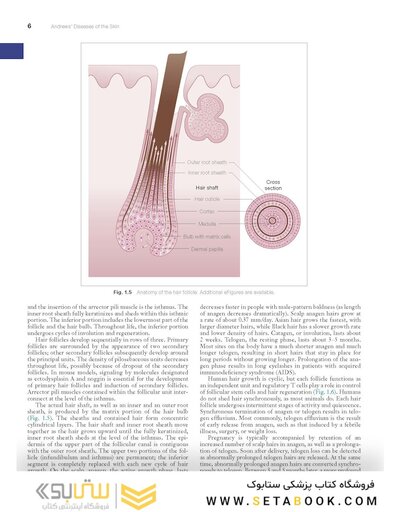 Andrews' Diseases of the Skin: Clinical Dermatology, 14th Edition
