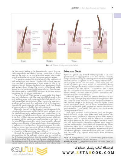 Andrews' Diseases of the Skin: Clinical Dermatology, 14th Edition