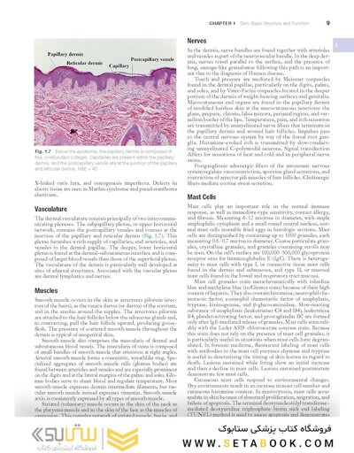 Andrews' Diseases of the Skin: Clinical Dermatology, 14th Edition