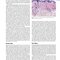 Andrews' Diseases of the Skin: Clinical Dermatology, 14th Edition