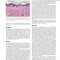 Andrews' Diseases of the Skin: Clinical Dermatology, 14th Edition