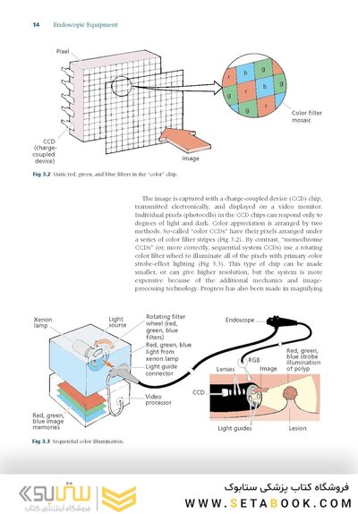 Cotton and Williams' Practical Gastrointestinal Endoscopy: The Fundamentals 8th Edition